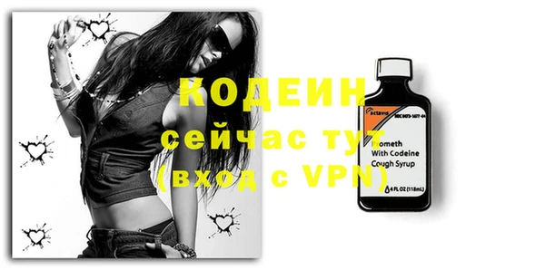 хмурый Арсеньев