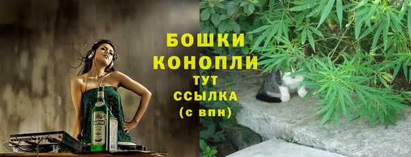 хмурый Арсеньев
