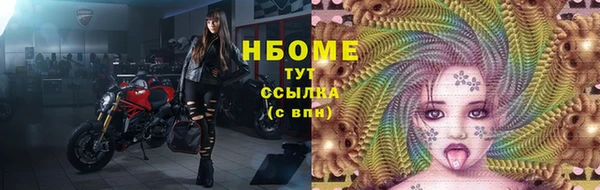 хмурый Арсеньев