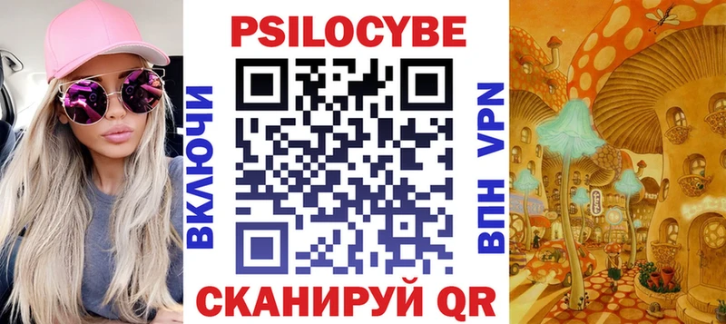 купить закладку  Приморско-Ахтарск  Галлюциногенные грибы Psilocybe 
